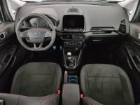 Ford EcoSport Benzina 1.0 ecoboost ST-line s&s 125cv my20.25 Usata in provincia di Roma - AUTOSTAR FLAMINIA, Via Salaria 1282 img-8