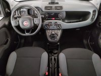 FIAT Panda Ibrida 1.0 hybrid Easy s&s 70cv Usata in provincia di Frosinone - AUTOSTAR FLAMINIA, Colleferro – Via Archilletti img-8