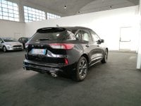 Auto Ford Kuga 2.0 Ecoblue Mhev St-Line 2Wd 150Cv Usate A Roma