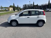Auto Fiat Panda 1.0 Firefly S&S Hybrid Km0 A Lecco