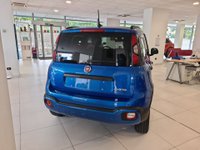 Auto Fiat Panda Cross 1.0 Firefly S&S Hybrid Usate A Lecco