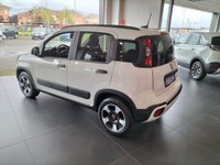 Auto Fiat Panda Cross 1.0 Firefly S&S Hybrid Usate A Monza E Della Brianza