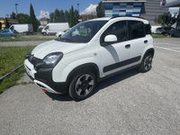 Auto Fiat Panda 1.0 Firefly S&S Hybrid Cross Usate A Lecco