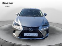 Auto Lexus Nx Hybrid 4Wd Luxury Usate A Roma