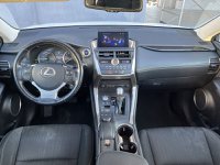 Lexus NX Ibrida Hybrid 4WD Executive Usata in provincia di Roma - Zerocento - Via Silicella  11 img-13