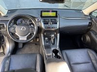 Lexus NX Ibrida Hybrid 4WD Luxury Usata in provincia di Roma - Zerocento - Via Silicella  11 img-13