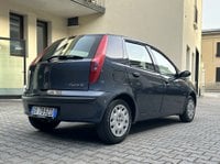 Auto Fiat Punto Punto 1.2I Cat 5 Porte Usate A Varese