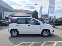 Auto Fiat Panda 1.0 Firefly S&S Hybrid Usate A Varese