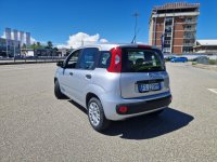 Auto Fiat Panda 1.2 Easy S&S 69Cv My19 Usate A Pavia