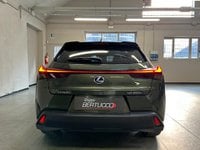 Auto Lexus Ux Hybrid Executive Usate A Verona