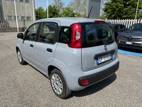 Auto Fiat Panda 1.2 Easy Usate A Bergamo