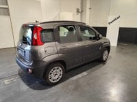 Auto Fiat Panda 1.2 Lounge Usate A Milano