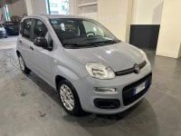 Auto Fiat Panda 1.0 Firefly S&S Hybrid Usate A Milano