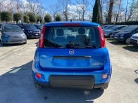 Auto Fiat Panda 1.0 Firefly S&S Hybrid Km0 A Caserta