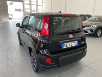 Auto Fiat Panda 1.0 Firefly S&S Hybrid City Life Usate A Caserta