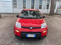 Auto Fiat Panda 1.0 Firefly S&S Hybrid City Life Usate A Caserta