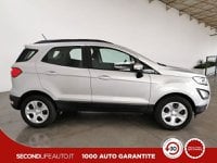 Ford EcoSport Benzina 1.0 ecoboost Plus 100cv Usata in provincia di Chieti - Pasquarelli Auto - Via Po  127/b img-4