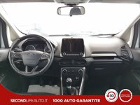 Ford EcoSport Benzina 1.0 ecoboost Plus 100cv Usata in provincia di Chieti - Pasquarelli Auto - Via Po  127/b img-12
