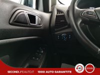 Ford EcoSport Benzina 1.0 ecoboost Plus 100cv Usata in provincia di Chieti - Pasquarelli Auto - Via Po  127/b img-21
