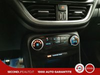 Ford Puma Benzina 1.0 ecoboost ST-Line s&s 125cv Usata in provincia di Chieti - Pasquarelli Auto - Via Po  127/b img-16