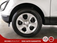 Ford EcoSport Benzina 1.0 ecoboost Plus 100cv Usata in provincia di Chieti - Pasquarelli Auto - Via Po  127/b img-24