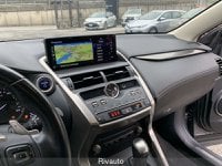 Lexus NX Ibrida Hybrid 4WD Sport Usata in provincia di Como - Rivauto - Via Asiago  28  img-16