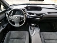 Lexus UX Ibrida Hybrid Business Usata in provincia di Bologna - T Motor Bologna - Via Emilia  295 img-9