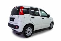 Auto Fiat Panda 3ª Serie 1.3 Mjt 95 Cv S&S Lounge Usate A Napoli