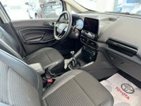 Ford EcoSport Benzina 1.0 EcoBoost 125 CV Start&Stop Titanium Usata in provincia di Ragusa - T.D. Car - Sp.25 Ragusa-Marina  Km 3 08 img-11