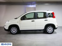 FIAT Panda Ibrida 1.0 FireFly Hybrid Neo Patentati - Km0 Usata in provincia di Bergamo - Auto Ghinzani Srl img-3