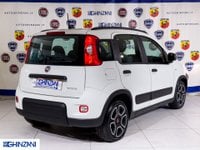 FIAT Panda Ibrida 1.0 Hybrid City Life Neo Patentati Usata in provincia di Bergamo - Auto Ghinzani Srl img-4