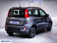 FIAT Panda Ibrida 1.0 Hybrid City Life Neo Patentati Usata in provincia di Bergamo - Auto Ghinzani Srl San Paolo img-5
