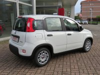 Auto Fiat Panda 1.0 Firefly S&S Hybrid (Ok Neopatentati) Km0 A Monza E Della Brianza