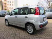 Auto Fiat Panda 1.2 Easy (Ok Neopatentati) Usate A Monza E Della Brianza