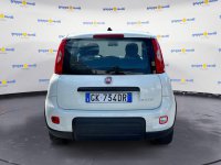Auto Fiat Panda My21 1.0 70Cv Hybrid City Life Usate A Roma