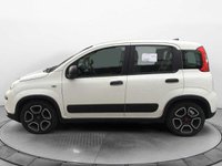 Auto Fiat Panda My21 1.0 70Cv Hybrid City Life Usate A Roma