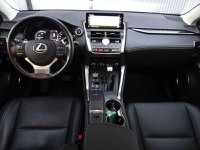 Lexus NX Ibrida Hybrid 4WD Luxury Usata in provincia di Treviso - LEXUS TREVISO - NORDAUTO - Via Noalese  55 img-13