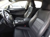 Lexus NX Ibrida Hybrid 4WD Luxury Usata in provincia di Treviso - LEXUS TREVISO - NORDAUTO - Via Noalese  55 img-8