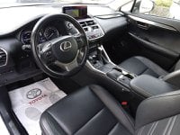 Lexus NX Ibrida Hybrid 4WD Luxury Usata in provincia di Treviso - LEXUS TREVISO - NORDAUTO - Via Noalese  55 img-7
