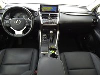 Lexus NX Ibrida Hybrid 4WD Premium Usata in provincia di Treviso - LEXUS TREVISO - NORDAUTO - Via Noalese  55 img-13