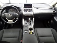 Lexus NX Ibrida Hybrid 4WD Executive Usata in provincia di Treviso - LEXUS TREVISO - NORDAUTO - Via Noalese  55 img-14