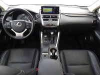 Lexus NX Ibrida Hybrid 4WD Luxury Usata in provincia di Treviso - LEXUS TREVISO - NORDAUTO - Via Noalese  55 img-15