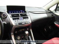 Lexus NX Ibrida 300 300 2.5 Hybrid Premium 4WD CVT Usata in provincia di Brescia - LEXUS BRESCIA - UNIQA BONERA - Via Breve  4 img-11