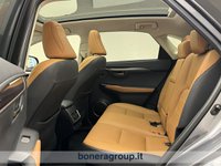 Lexus NX Ibrida 300 300 2.5 Hybrid Luxury 4WD CVT Usata in provincia di Brescia - LEXUS BRESCIA - UNIQA BONERA - Via Breve  4 img-20