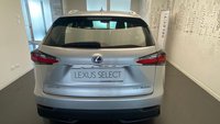 Lexus NX Ibrida Hybrid 4WD Executive PLUS Usata in provincia di Bergamo - LEXUS BERGAMO - SARCO - Curno - Via Bergamo  15 img-4