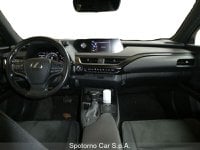 Lexus UX Ibrida Hybrid Executive Usata in provincia di Milano - LEXUS MILANO NORD - SPOTORNO CAR - Viale Fulvio Testi  6 img-7