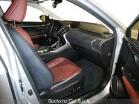 Lexus NX Ibrida Hybrid 4WD Luxury Usata in provincia di Milano - LEXUS MILANO NORD - SPOTORNO CAR - Viale Fulvio Testi  6 img-5