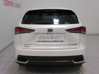 Lexus NX Ibrida Hybrid 4WD Premium Usata in provincia di Firenze - LEXUS FIRENZE NORD - BI AUTO - Via S. Morese  9 img-3