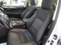 Lexus NX Ibrida Hybrid 4WD Sport Usata in provincia di Firenze - LEXUS FIRENZE NORD - BI AUTO - Via S. Morese  9 img-10