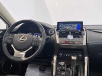 Lexus NX Benzina Hybrid 4WD Premium Usata in provincia di Bari - LEXUS BARI - AMICAR - S.S. 96 Km 119 780 img-3